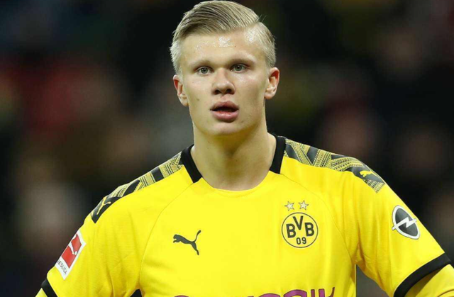 鹈鹕想要的 鹈鹕想要的